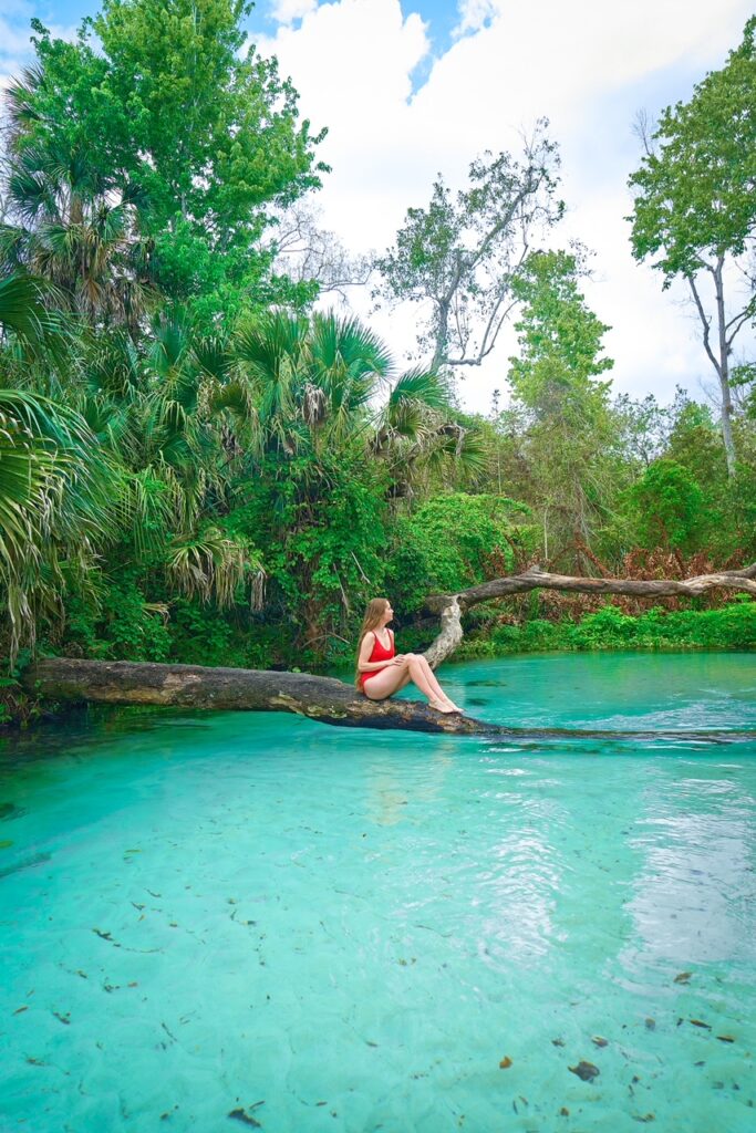 A woman in a red bathing suit sits on a tree branch that juts out into the clear, blue waters of Kings Landing Florida. 