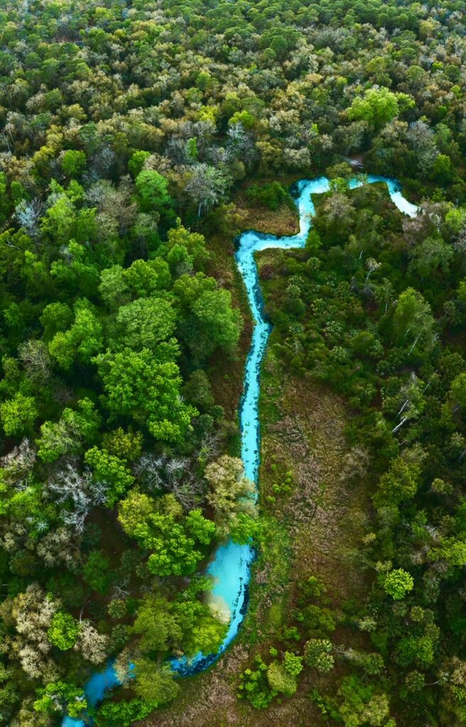 This overview picture of Kings Landing Florida shows a bright blue river cutting through the geens of the landscape around it. 