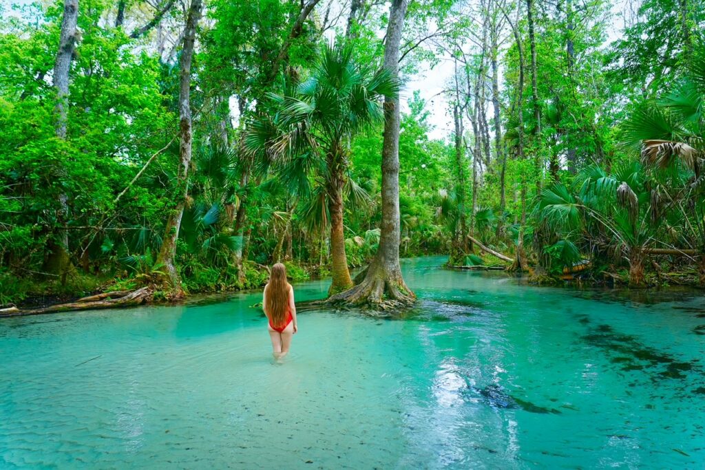 A woman wades through the clear water at Kings Landing Florida, trees and foliage surrounding the river. 