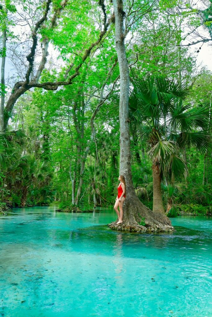 A woman in a red one piece bathing suit stands against a tree that is in the middle of the blue water and shallow sands at Kings Landing Florida. 