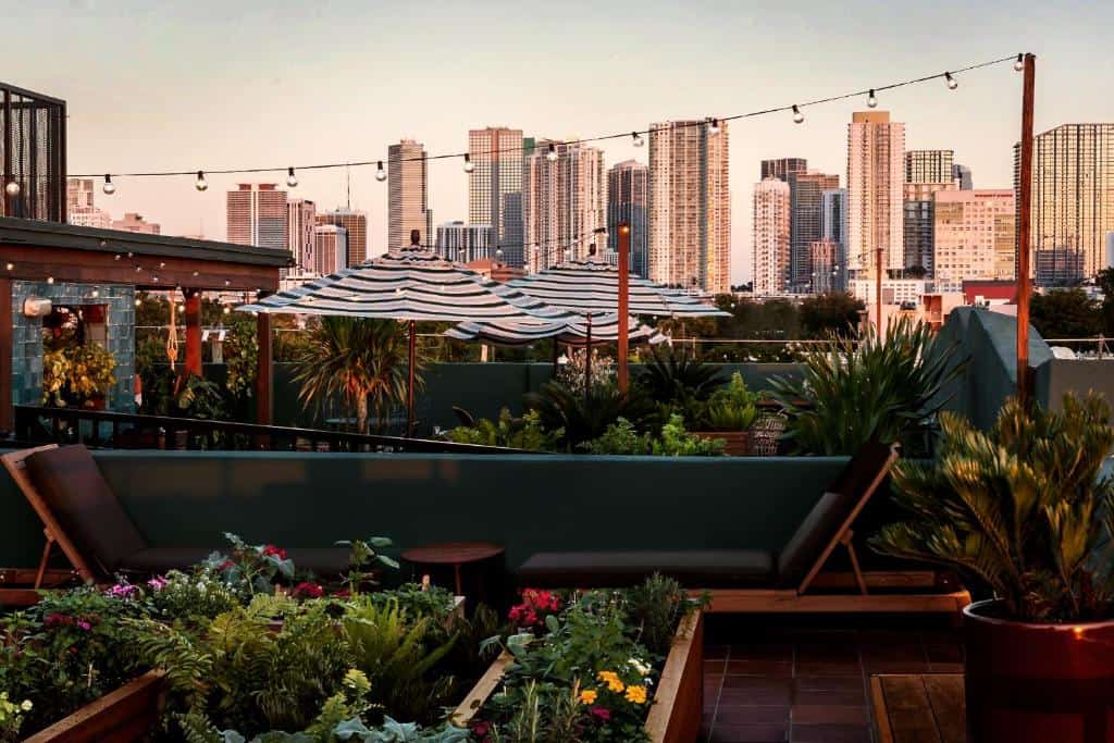 the view from Little Havana from a tropical garden rooftop with Downtown Miami in background