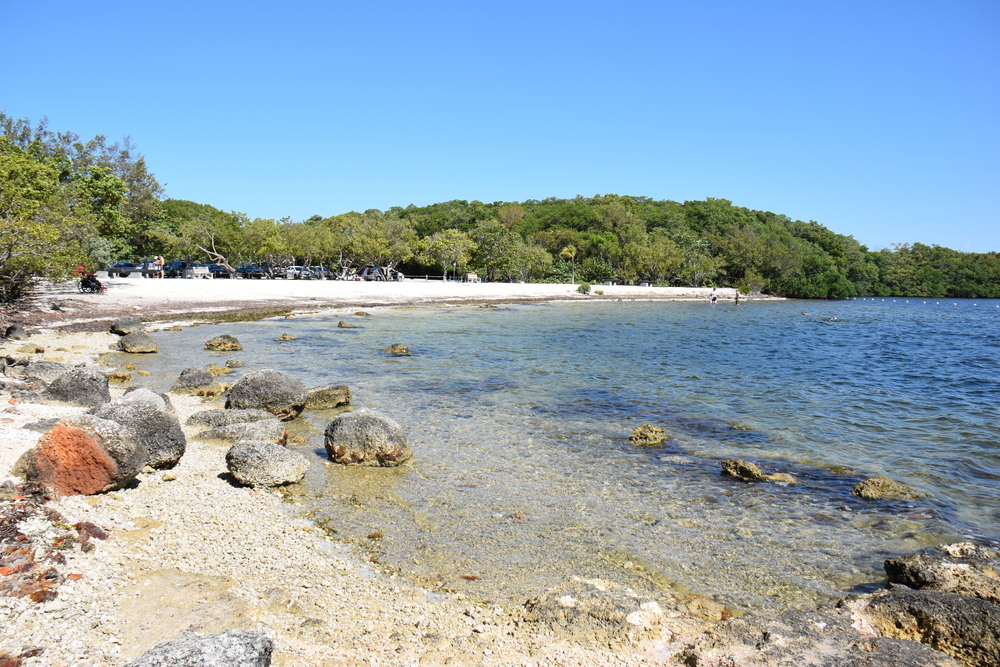 A rocky beach is covered with sand and surrounded by trees at John Pennekamp Coral Reef State Park, which offers some of the best snorkeling of the Florida Keys beaches. 