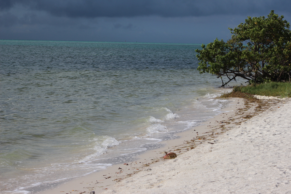 Clear blue water laps the sandy beach of Curry Hammock State Park, with storm clouds in the distance.