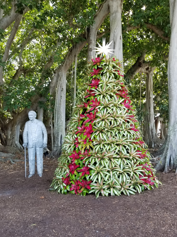 A Christmas tree made of tropical plants stands next to a statue in the Edison and Ford estates, which features some of the best Christmas lights in Florida.