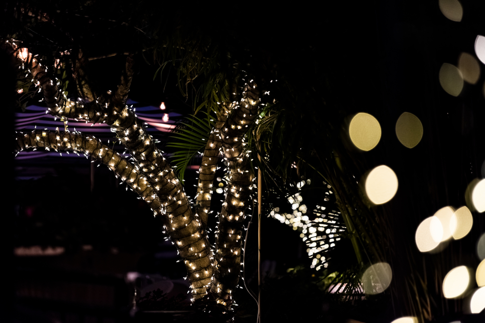 downtown amelia island decked out in lights one of the best Christmas towns in Florida