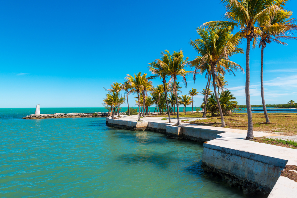 Palm trees line a cement walkway along the turquoise-colored bay during a sunny day in Marathon, FL.