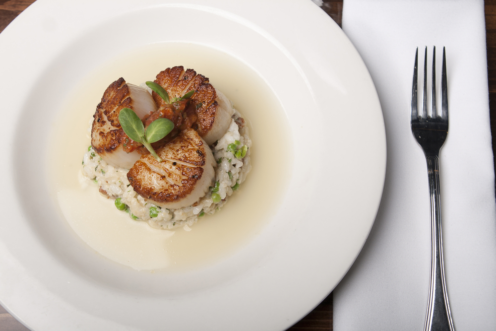 Three seared scallops sit atop a bed of grains and vegetables, with a fork and napkin next to the dish.