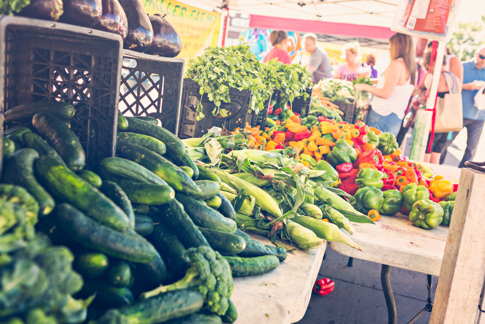 a local farmers market is one of the best things to do in Celebration florida on a Sunday