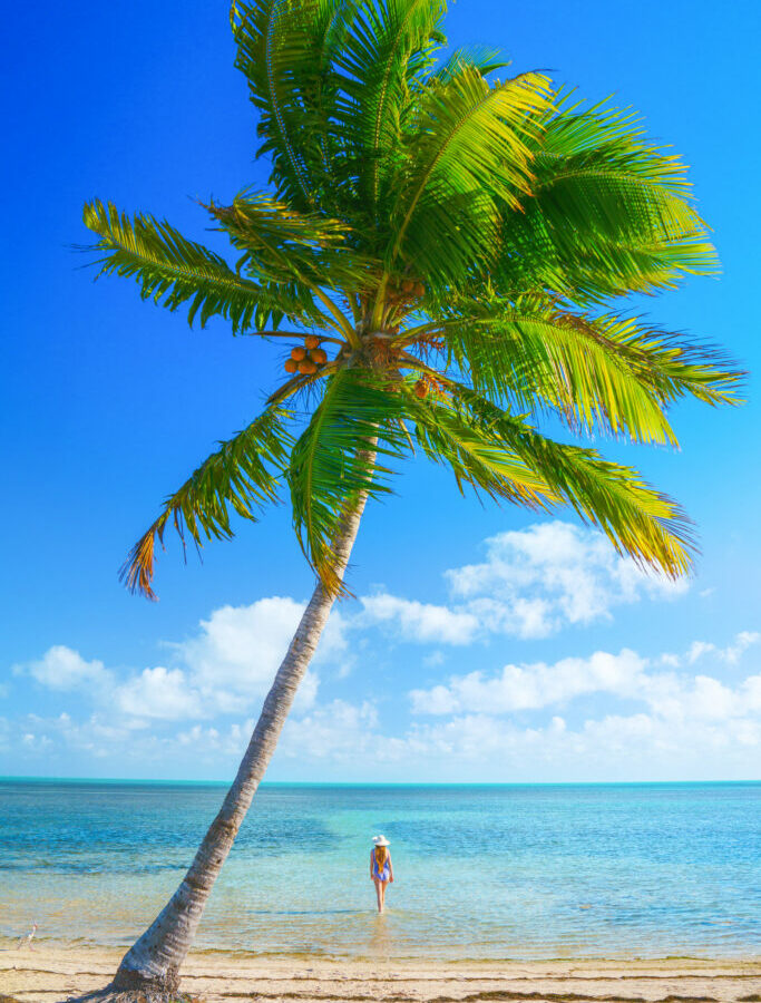 woman in blue bathingsuit and white wide brim hat standing in the water just past a palm tree at Veterans Memorial Park! One of the best things to do in the Lower Keys!
