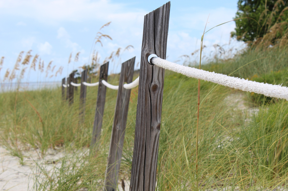 great image of grass on the beach with a fun rope fence!