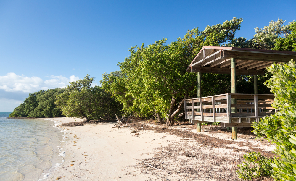 water lapping against this beautiful sandy beach featuring a great wooden lookout with a picnic bench area