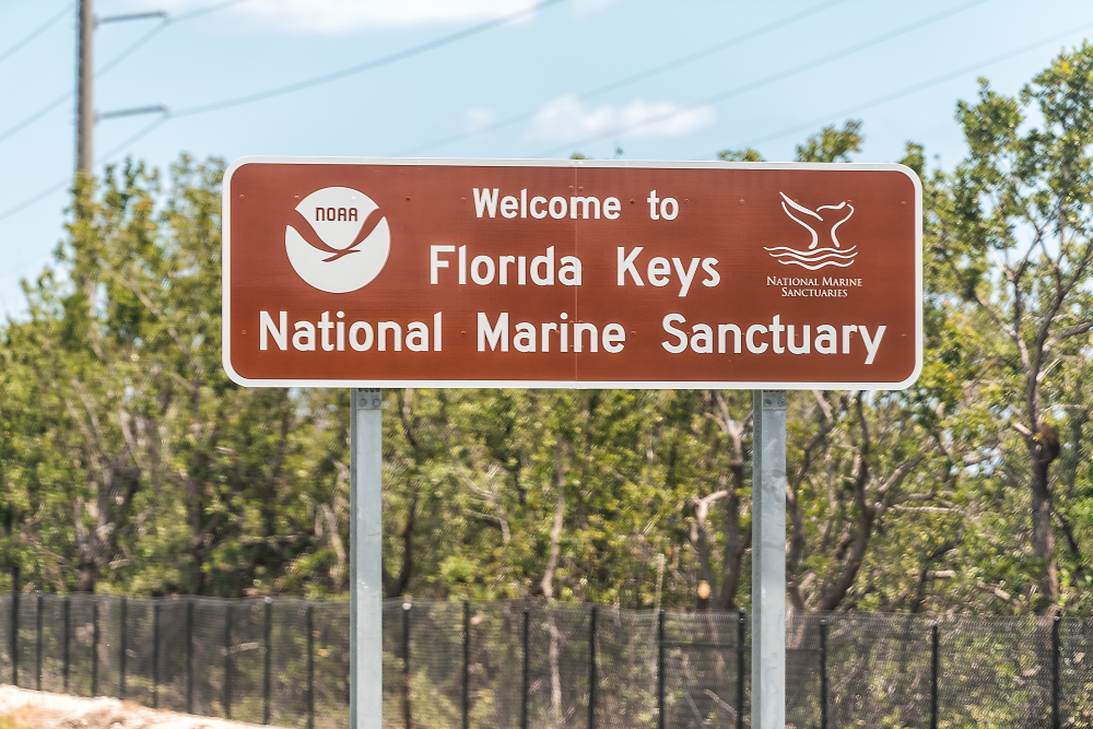 street sign, dark burnt orange saying welcome to Florida Keys National Marine Sanctuary with blue sky and trees behind it