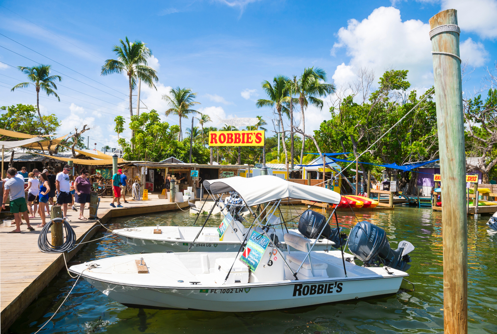 bustling busy and colourful marina - the hub of life on the oceanfront of islamorada, robbie's is definitely one of the best things to do in the Upper keys