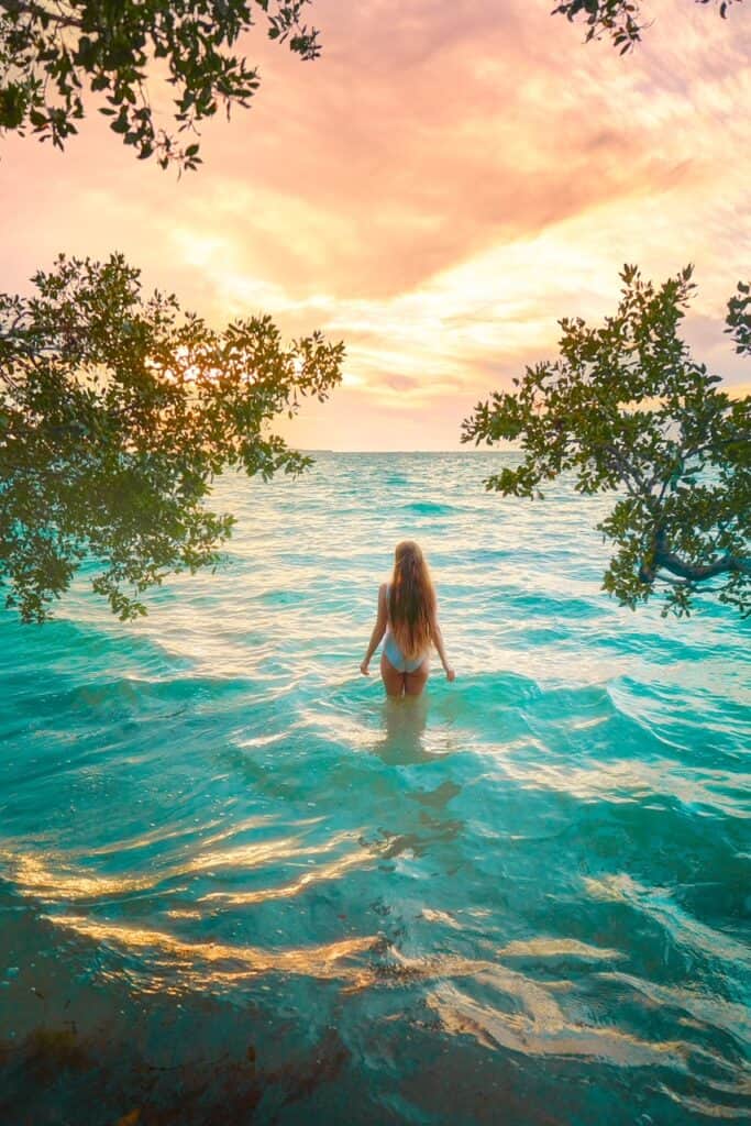 Victoria standing in great teal water with tree foliage coming forward and a gorgeous soft burning sunset!