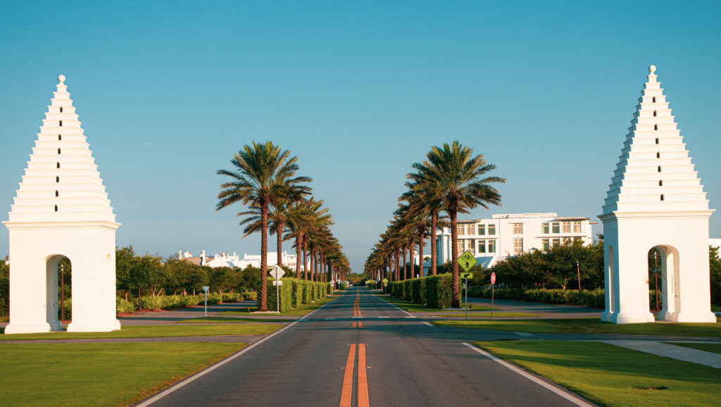 palm trees lining perfectly manicured road with stark white buildings
