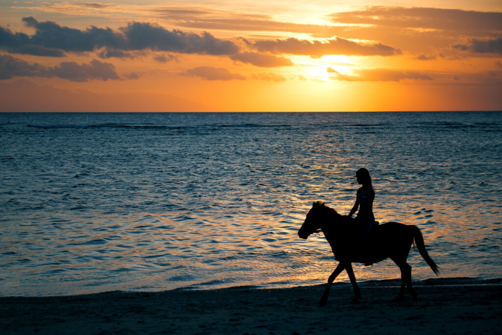 Girl riding horse on the beach with a colorful sunset on the Northern Florida Gulf Coast Beaches
