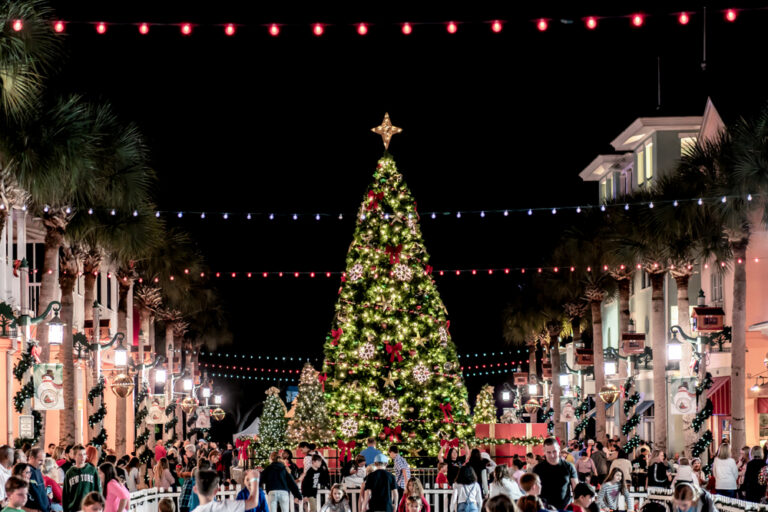 25 Best Things to Do in Orlando At Christmas Florida Trippers