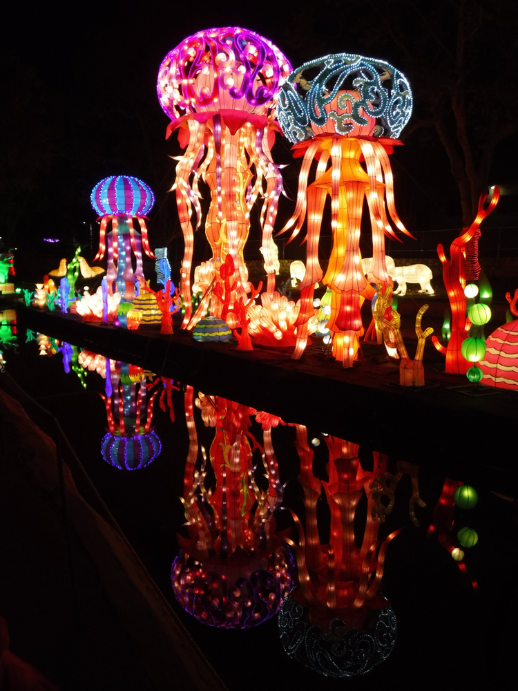 Giant lanterns in the shape of jellyfish and coral.
