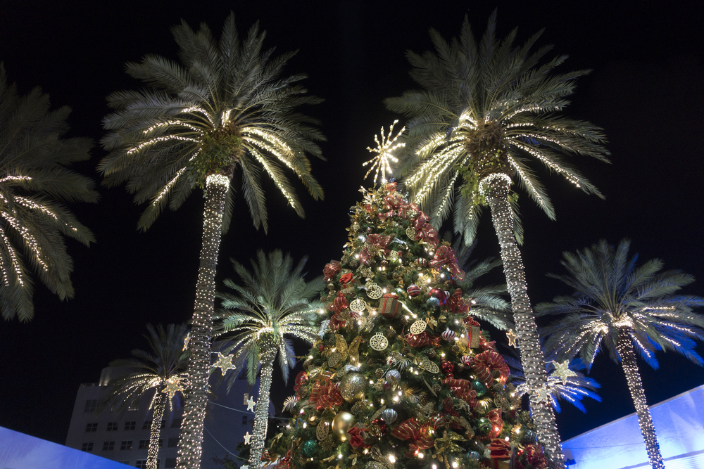 Decorated Christmas tree and palm trees wrapped in white lights at Miami Beach, FL.