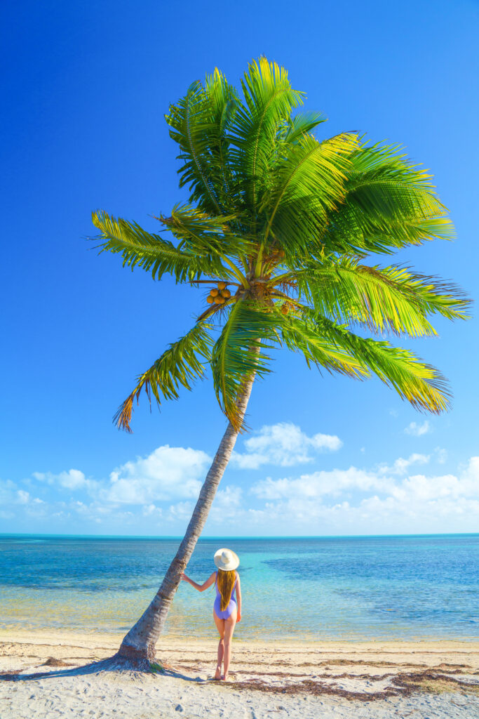 A woman in a sunhat stands on a sunny beach with her hand on a palm tree.