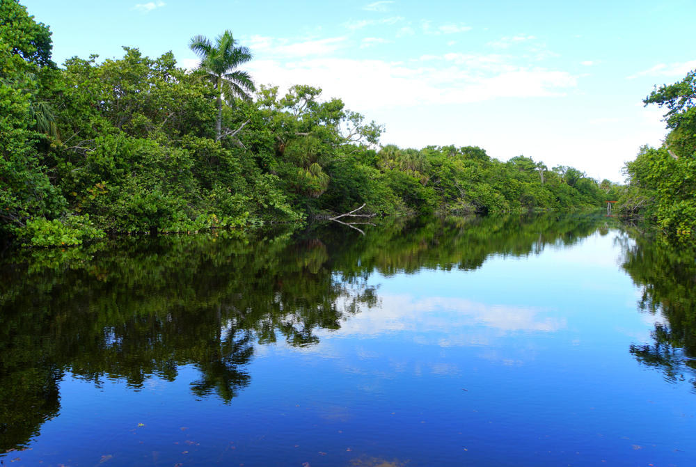 Lush green trees line the water on a sunny day at Hugh Taylor Birch State Park in Fort Lauderdale.