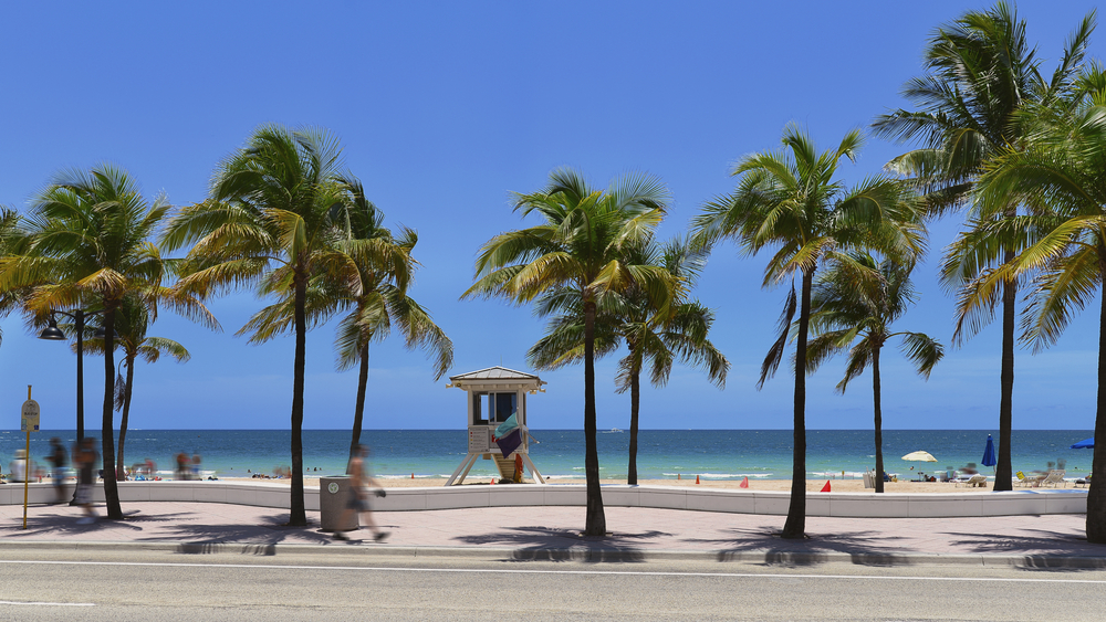 Palm trees line the sidewalk that runs parallel to Las Olas beach on a sunny day in Fort Lauderdale.