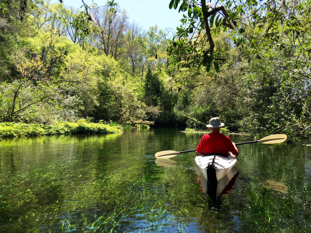 a man kayaking for manatee tours