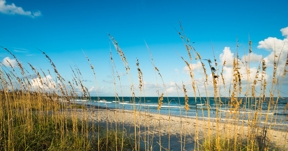 the seagrass before the beach in Cocoa Beach . Head to white sand beach one of the best things to do in cocoa beach