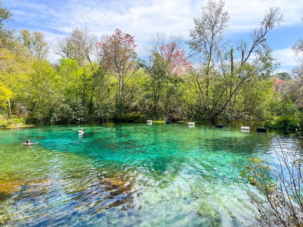 Ichetucknee Springs State Park showing the spring with tubes on with people swimming