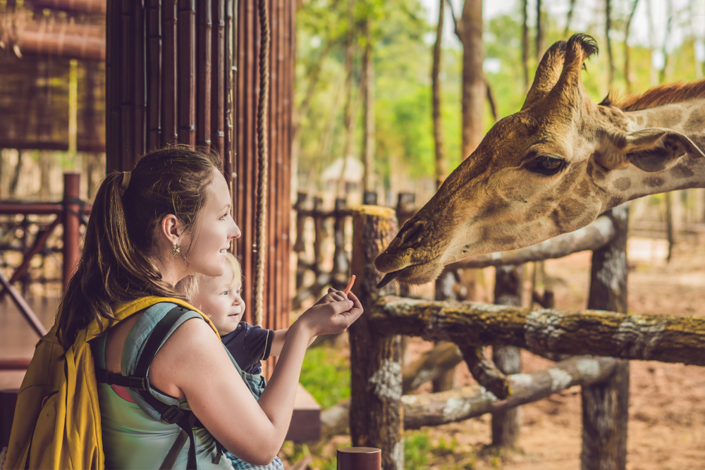 A woman holding a baby and feeding a giraffe at the Miami Zoo one of the best things to do in Miami with kids