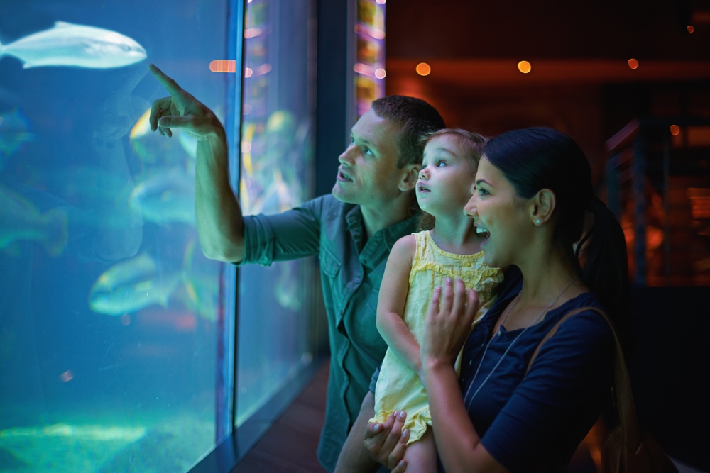 A family holding a toddler stares at a fish at an aquarium: this is one of the many ways to do Orlando with kids. 