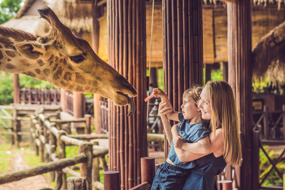 A mom holds a child as they feed a giraffe at a safari-- this is one of the many ways to experience Orlando with kids! 