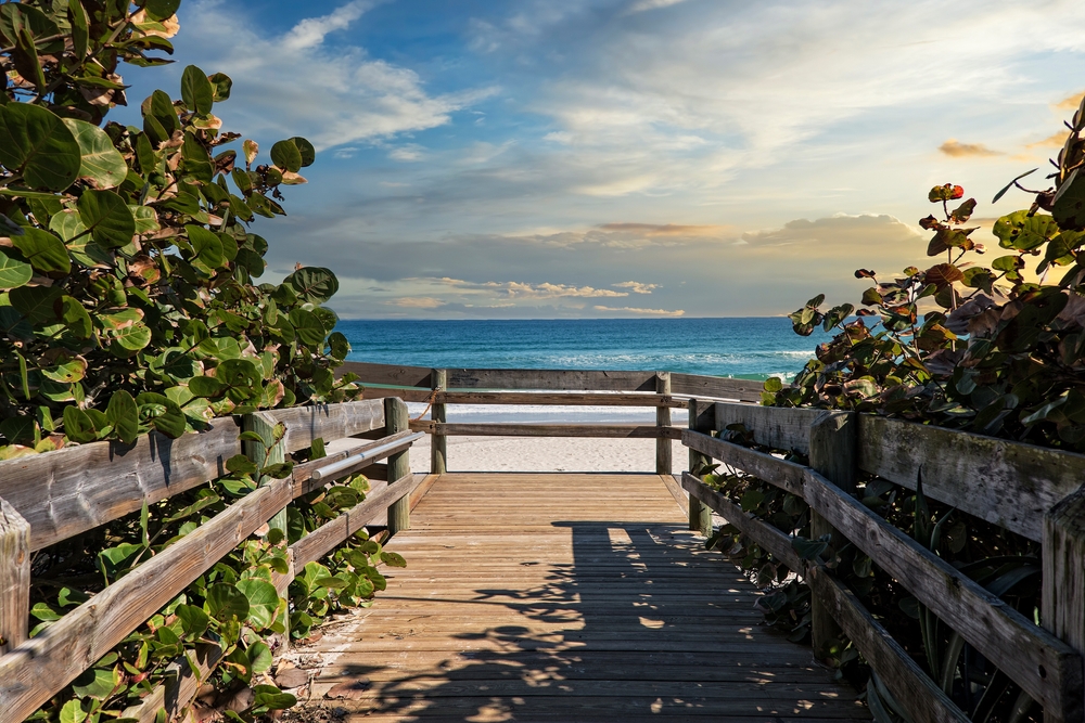 Boardwalk through plants leading to the blue ocean and Paradise Beach.