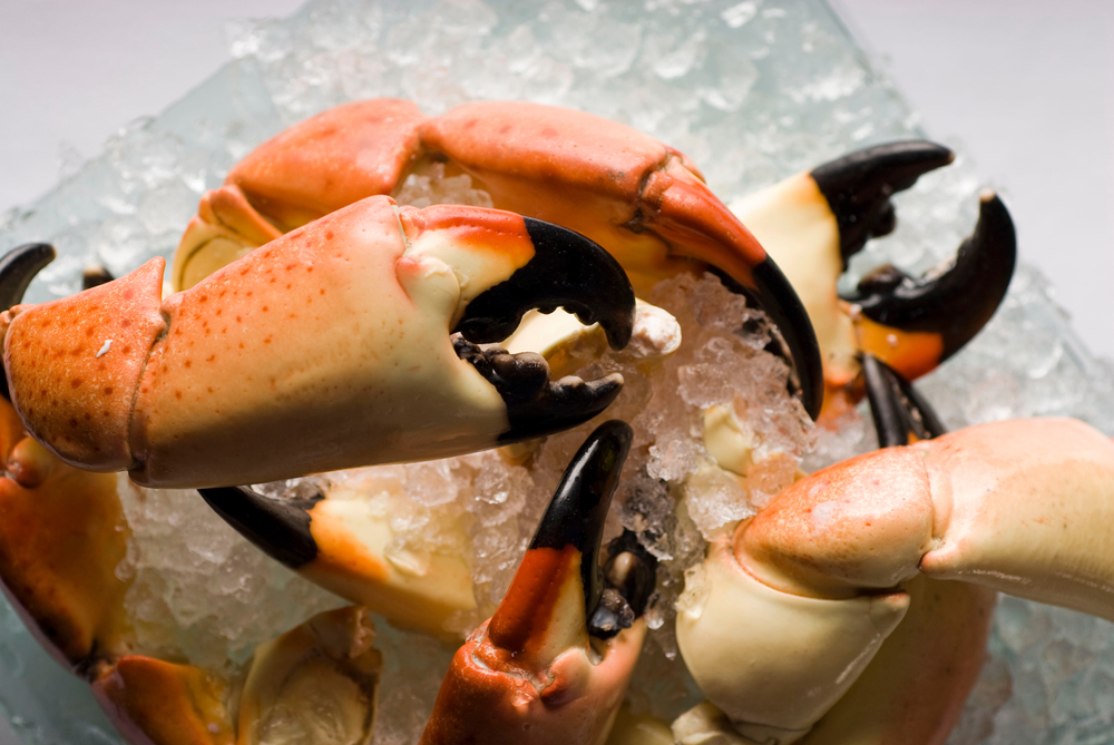Pink and black-tipped stone crab claws sit on top of ice, a dish popular at Truluck's, one of the best seafood restaurants in Naples.