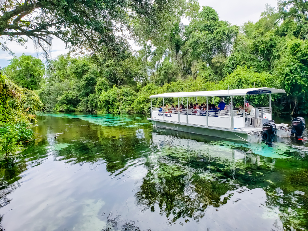 Aqua Belle boat ride down the Weeki Wachee Springs one of the things to do in Tampa with kids 