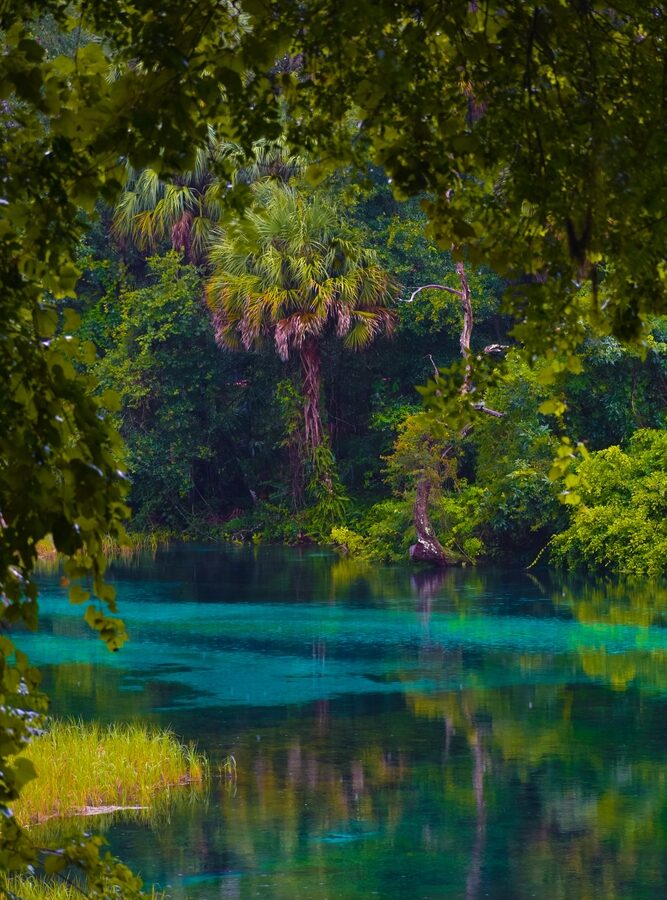 Lush greenery surrounds a blue natural spring in Florida during a light rain.