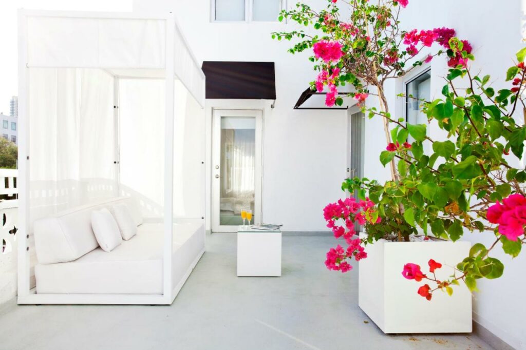 An outdoor terrace with white day bed, with bouganvilla climbing on the wall