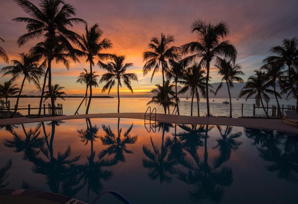 a sunset overlooking the ocean with the palm tree reflections in the pool