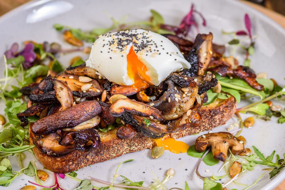 an over easy egg served over roasted mushroom toast with salad