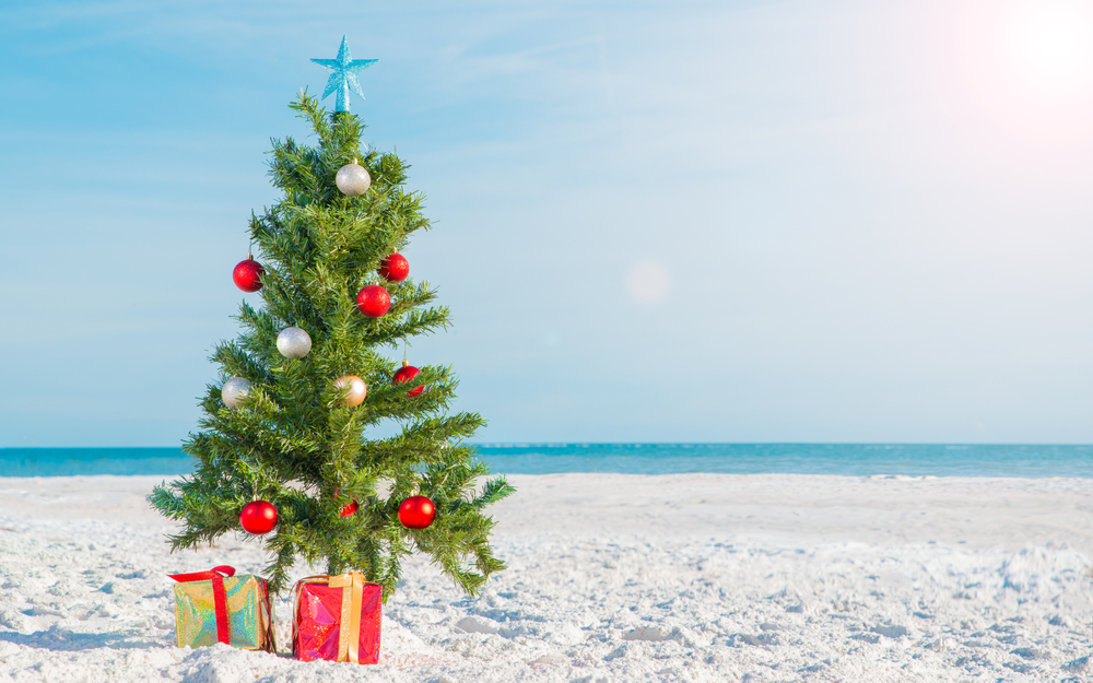 A tiny Christmas three with red and silver balls lines the sand on the beach in Florida in December. 