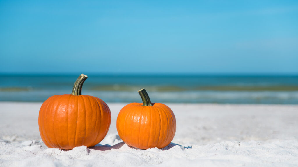 Two orange pumpkins sit on the white sand of a beach in Florida in October.