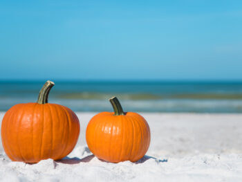 two pumpkins sitting together on a beach in Florida in October