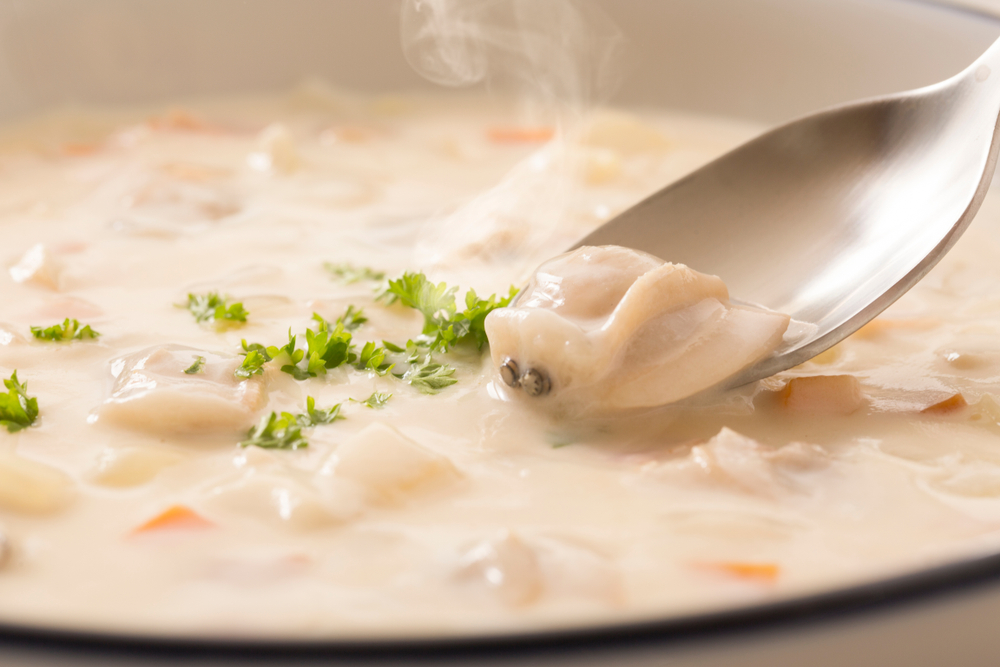 A closeup of creamy clam chowder, which is one of the things Cedar Key, FL is known for.