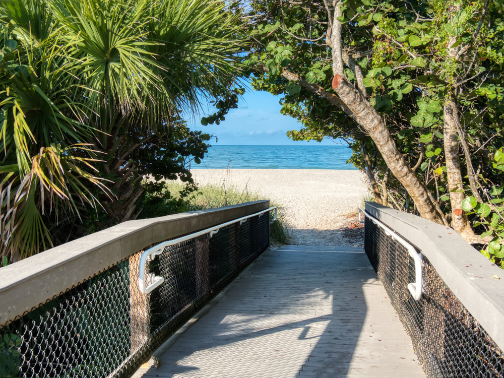 Nokomis beach is a more natural beach with mangrove trees and less crowds