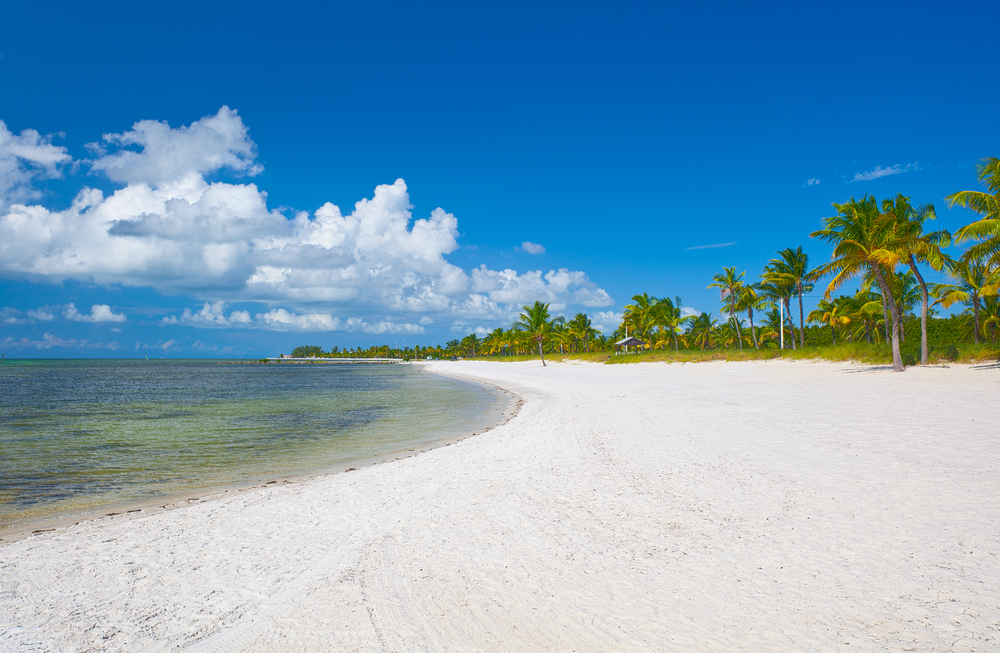 the wide expanse of the crescent beach with palm trees in the background