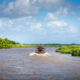 airboat in the everglades with blue sky and green mangroves