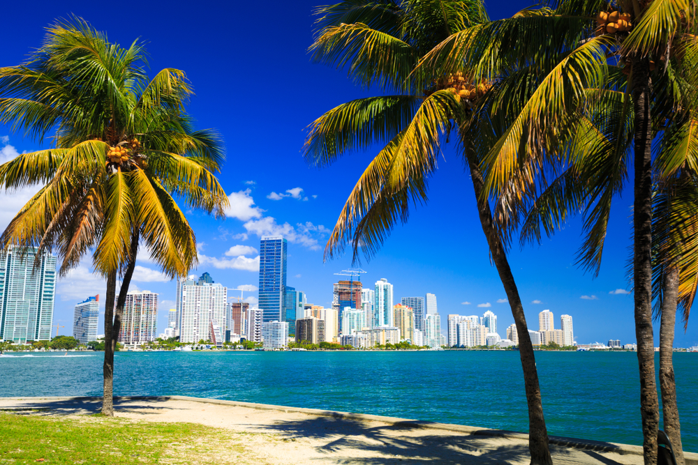 Palm trees frame the Miami skyline seen across the water on a sunny day