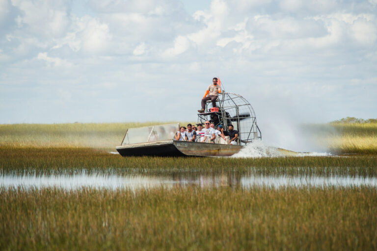 7 Best Airboat Tours Near Orlando FL You Must Try - Florida Trippers