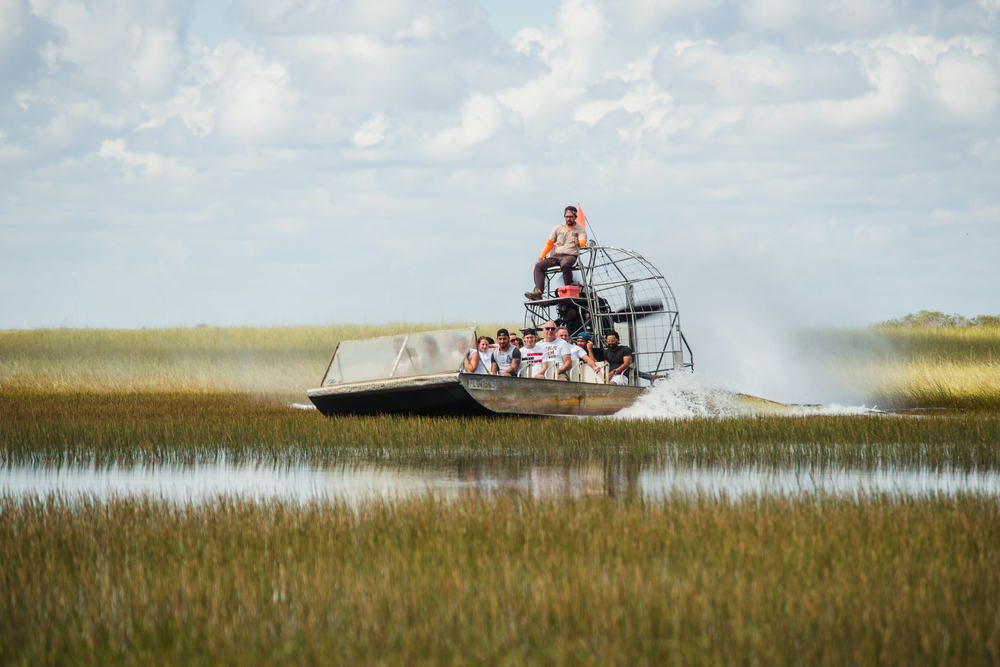 On this airboat, a big splash is propelling a group of people through the murky water and tall green marsh grass.