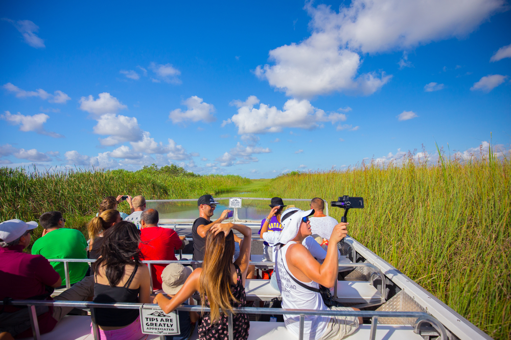 A close up on the guests of an airboat tour shows them all looking out over heavy marsh grass and pointing their cameras to catch photos fo wildlife, 